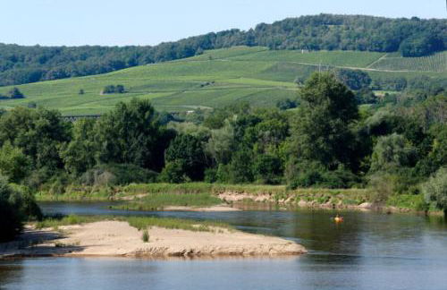 les petits sportifs - Foto 18