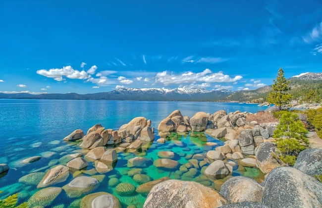 Vibrant Boho Family Home 3 Bed Pet Friendly UNR - Photo 18