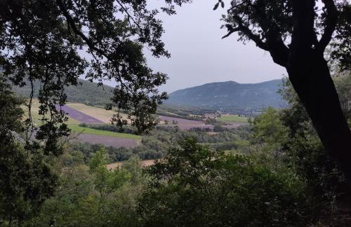 La Maison du Verger, Provence and quiet countryside - Photo 24