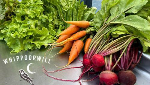 Cabin on Wheels • Cozy Forest and Farm Retreat - Foto 2, Other