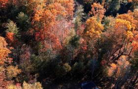 Heartleaf | Modern Lux Mirror Home | HotTub - Foto 47