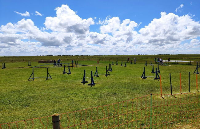 Haus in Ostfriesland mit Garten - Foto 21