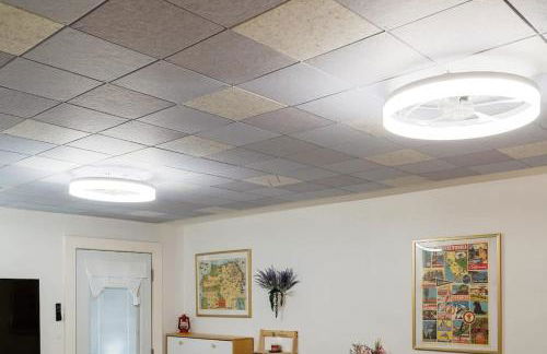 Beach Block 2-Bed with Coastal Palm Trees and Yard - Photo 12