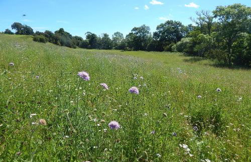 Eden Hideaway - Foto 16