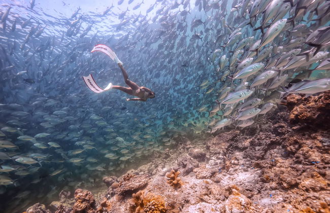 Sipadan Inn Service Apartments Semporna - Foto 34