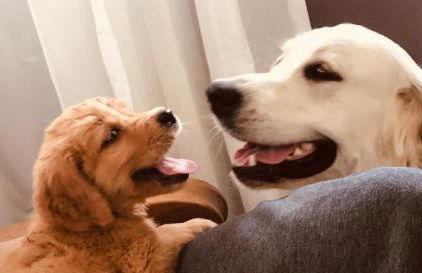 Can Estrellas apartamento vista mar - Foto 23