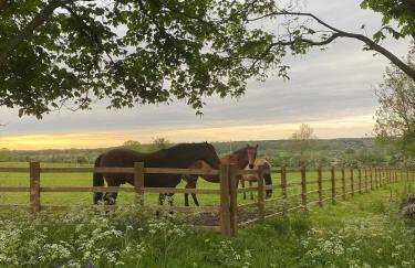 The Old Tractor Shed Luxury Private Hot Tub & View - Foto 64
