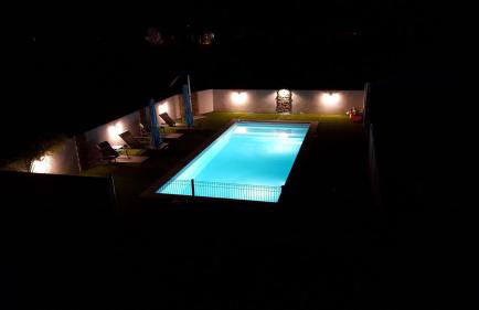 Les bougainvilliers - Foto 2