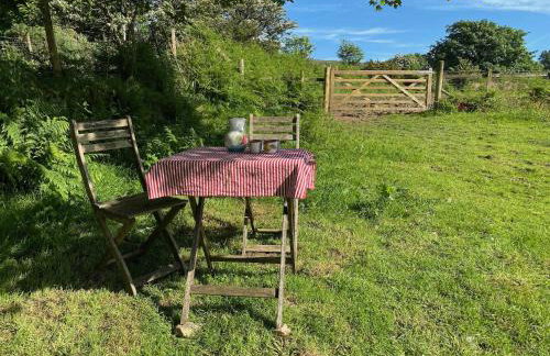 Polly's Barn, Penrhyn - Foto 19