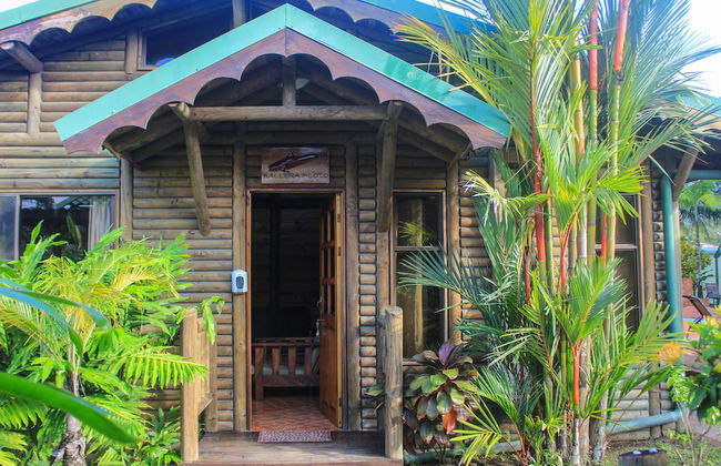 Villas Bungalows Ballena - Foto 5