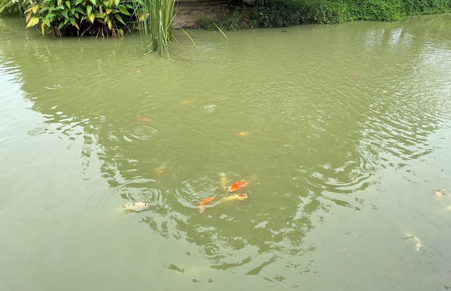 Huge Pool Villa with Private Lake - Foto 44