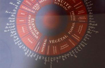 Maison au coeur du vignoble - Foto 14