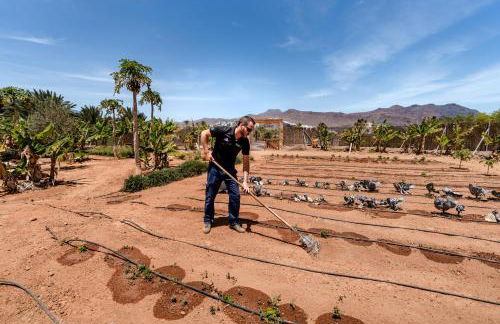 Playitas Aparthotel - Sports Resort - Photo 33