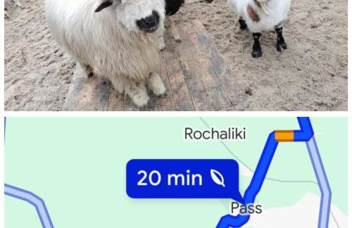 Pod Kasztanami blisko A2 - Foto 18