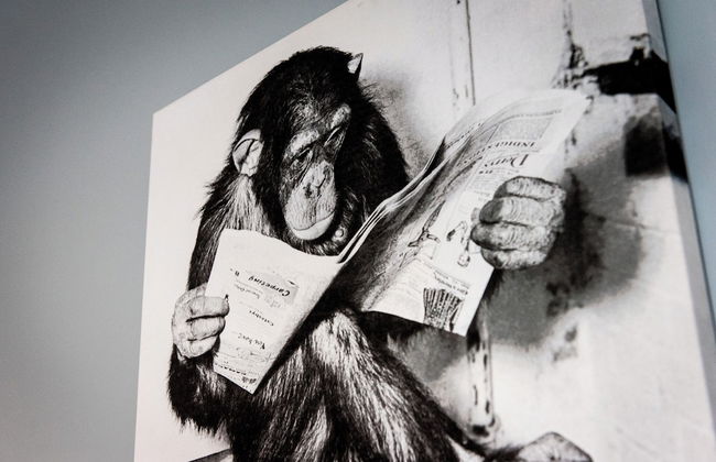 Arena Apartments - Foto 19