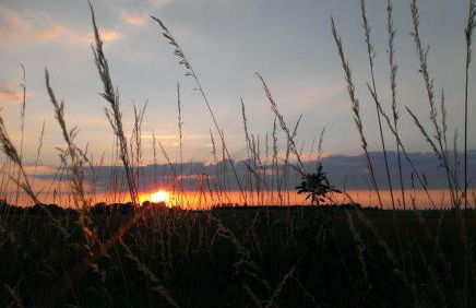 Ferienwohnung mit Terrasse - Foto 18