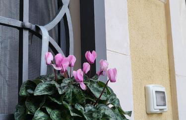 Il Cortile della Patrona - Photo 1