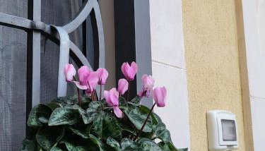 Il Cortile della Patrona - Foto 1