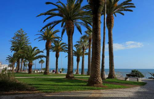 T1 - Miramar 3P - Foto 17