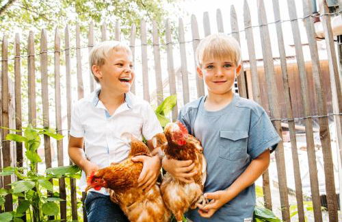 Ferienwohnung Liselotte - Foto 17