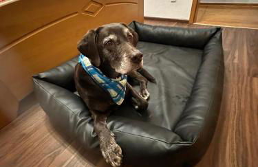 Ferienhaus Löwenherz - Foto 24