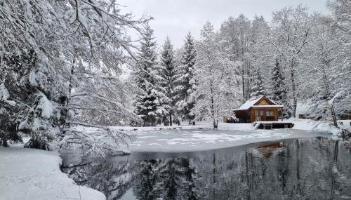 Insolite Chalet de pêche Sérénité - Bien Etre - Foto 5