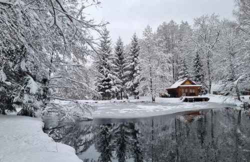 Insolite Chalet de pêche Sérénité - Bien Etre - Foto 5