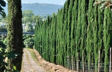 Camugnano farm - Foto 1