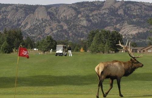 Lily Mountain Lodge - Amazing Mountains Views, Private Hot Tub, Great Location - Foto 22