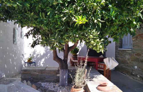 Το πέτρινο, Άνδρος,Μεσαριά - Foto 20