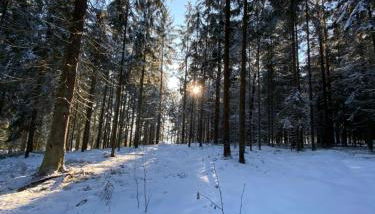 Ferienwohnung Jansen - Foto 3