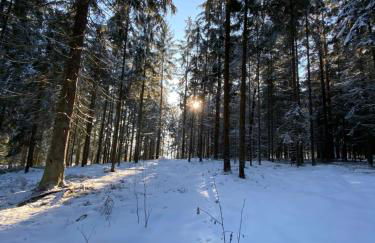 Ferienwohnung Jansen - Foto 3