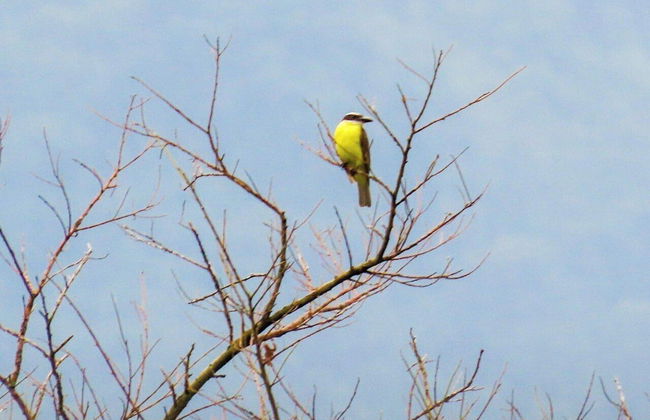 El Cielo Biohospedaje - Foto 47