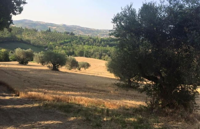 B&B Azienda Perconti - Foto 35