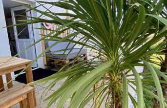 L'éternel été - Foto 15