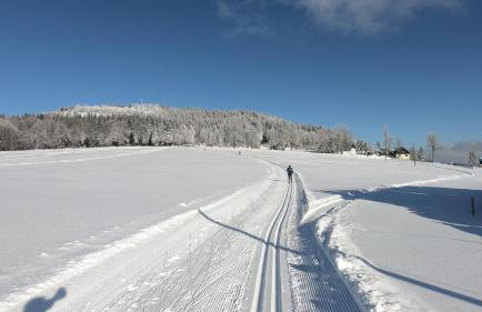 Ferienwohnung am Bärenstein - Photo 19
