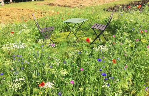 Château D'harcelaines - Foto 72