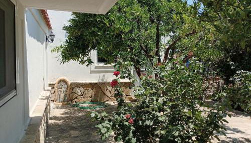 Maki'shouse - Foto 4, Garden