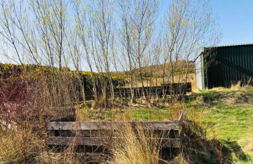 The Stroops - Foto 23