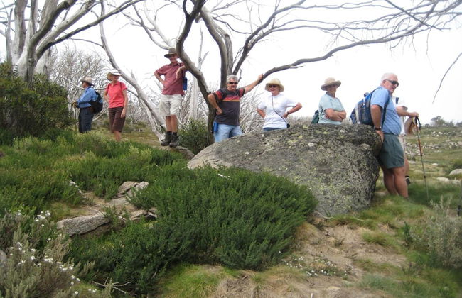 Kosciuszko Tourist Park - Foto 35