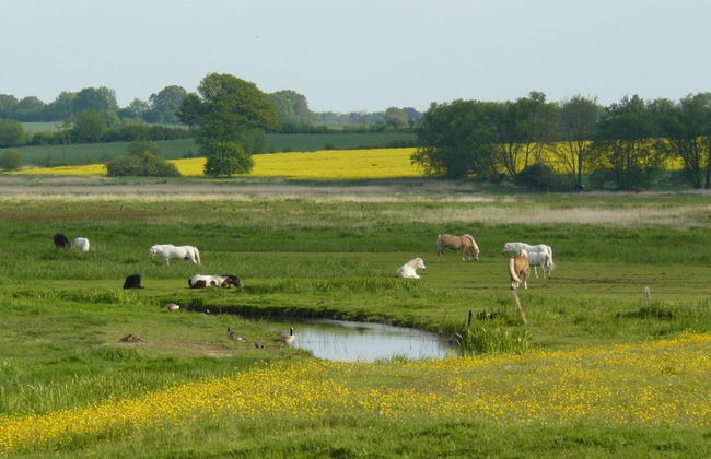 Nice Apartment Near Seabeach - Foto 24