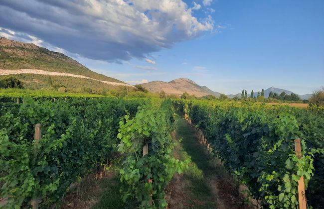 Villa Kikiza - Foto 32