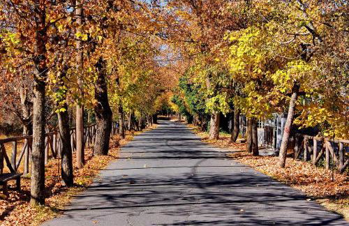 Mainades House - Photo 19