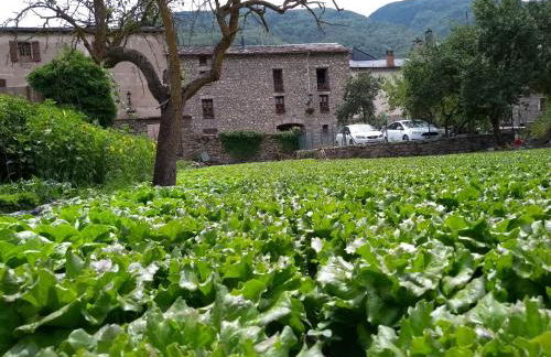 Borda Piñana - Photo 29