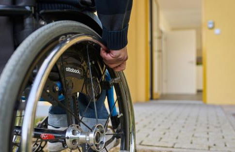 WaldResort - Am Nationalpark Hainich - Foto 62