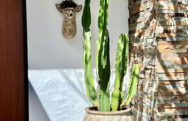 CasaGarrano#Comporta - Foto 43