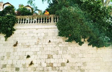 Garden in the center - Photo 28