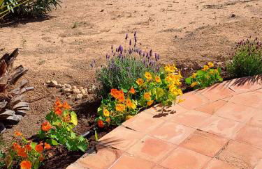 Casa Clari - Foto 41