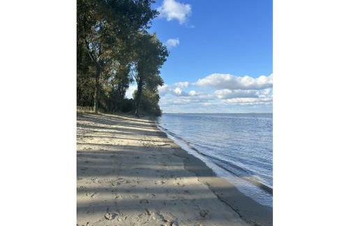 Michael's Elbe Dream - Foto 14