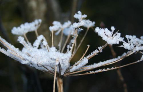 Plaatsje in het Mesnerhuis - Foto 45
